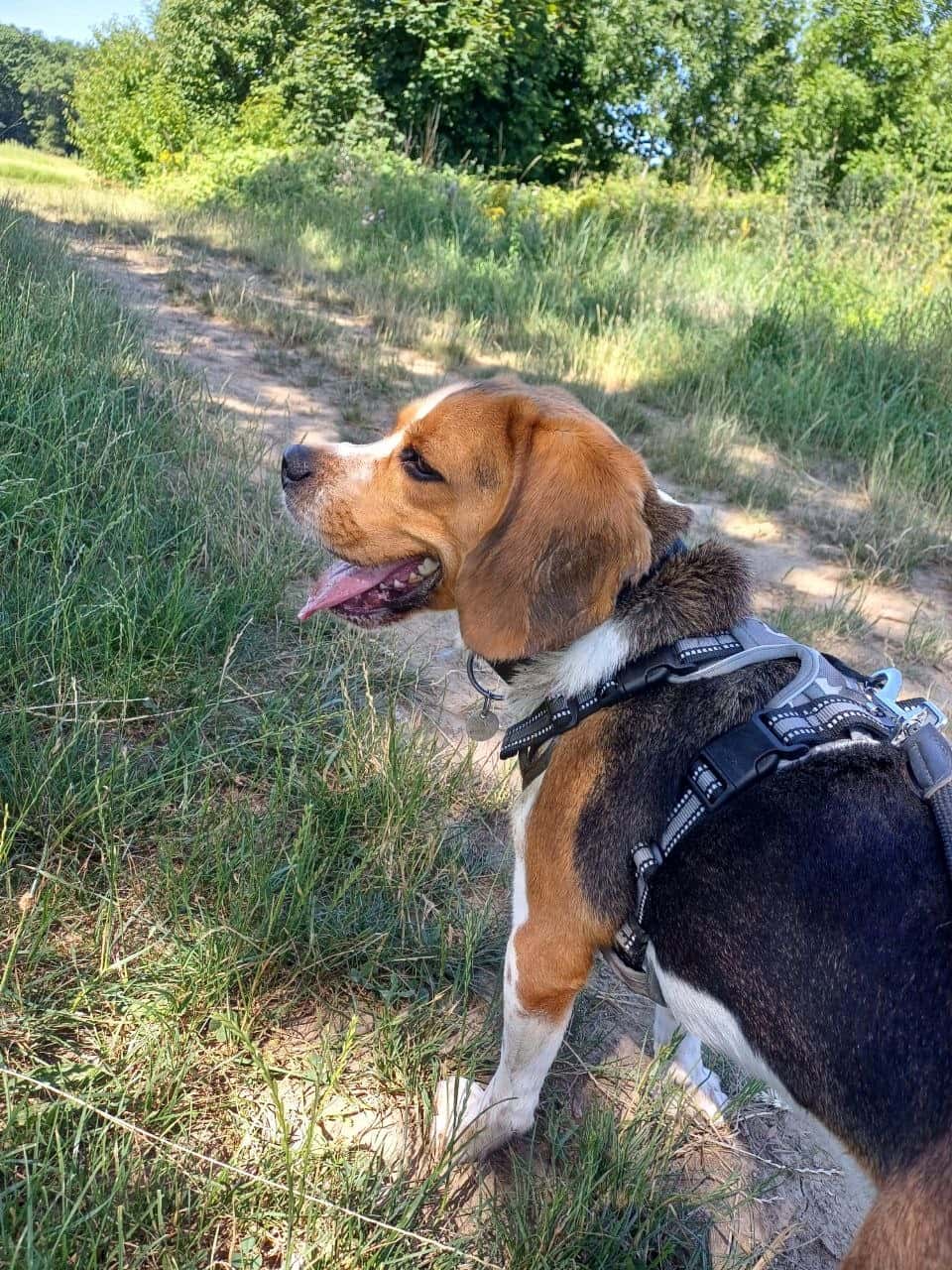 Walk 1
