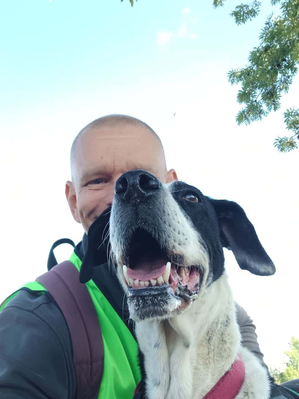 Walk 11