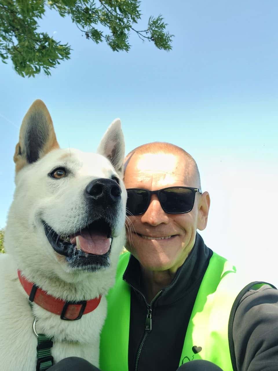 Walk 15