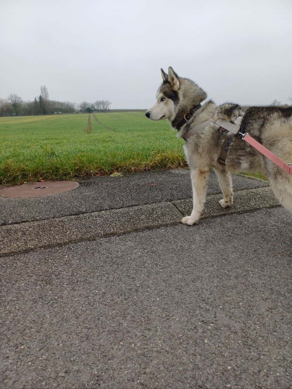 Walk 39