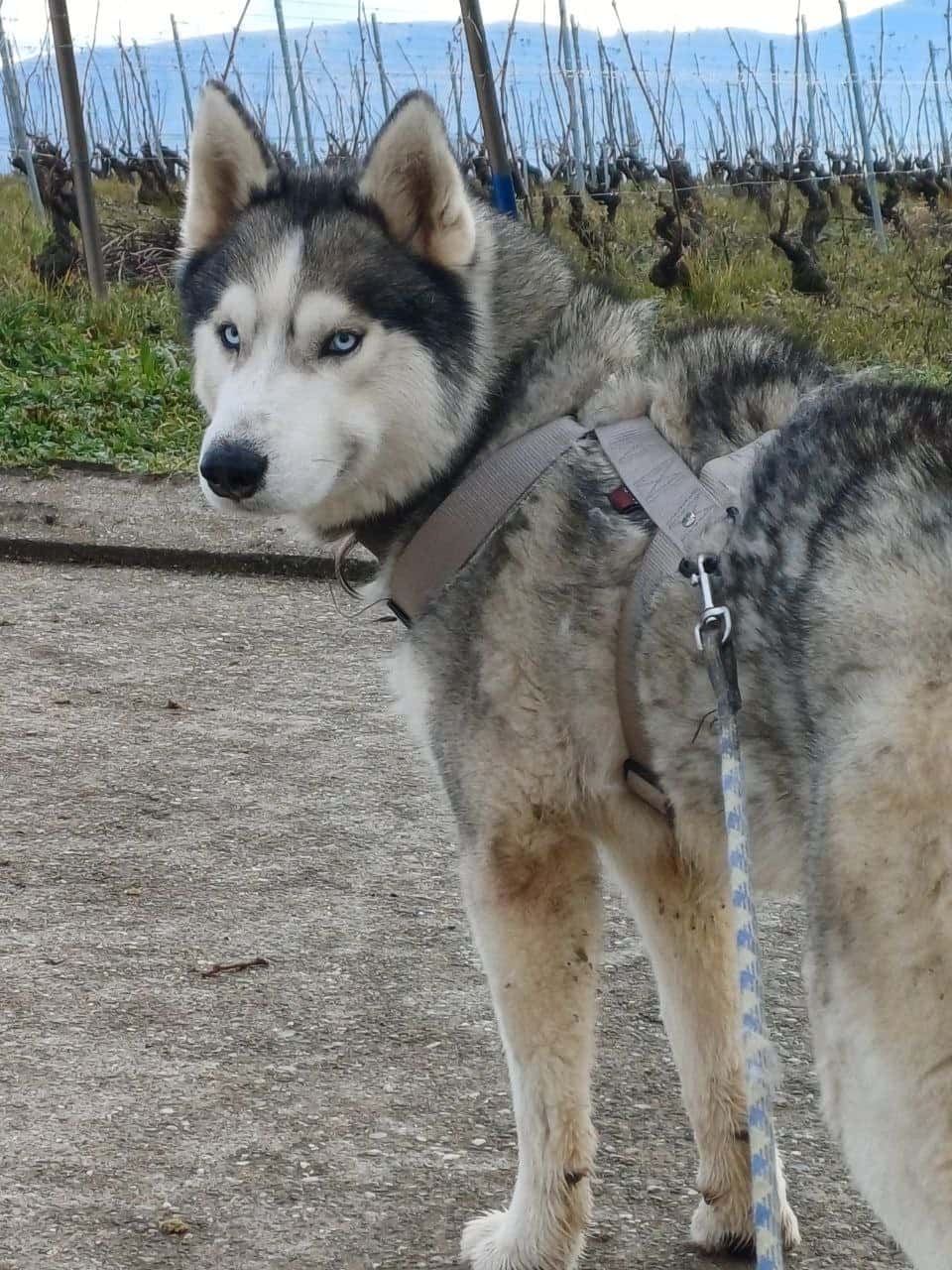 Walk 40