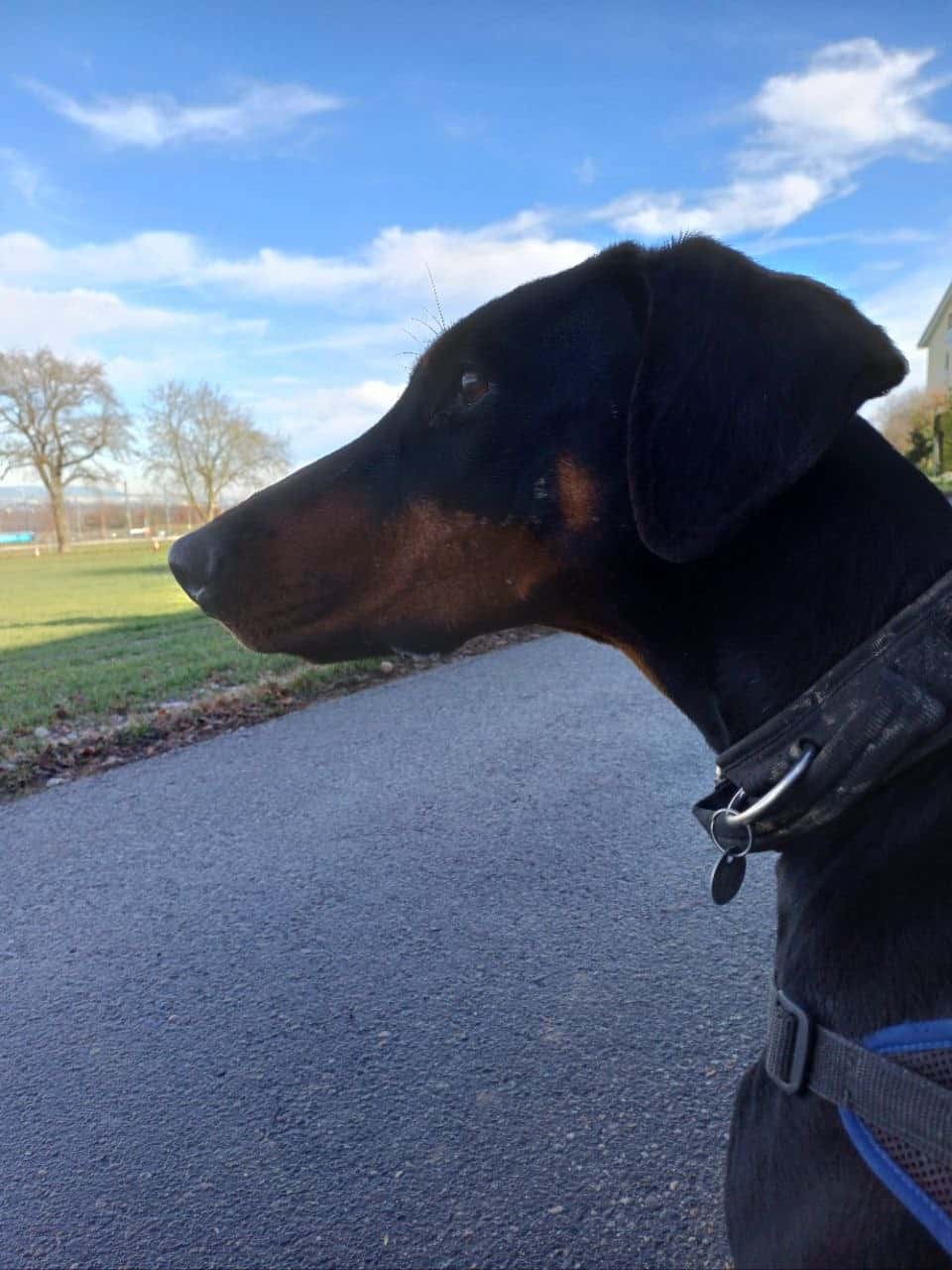Walk 46