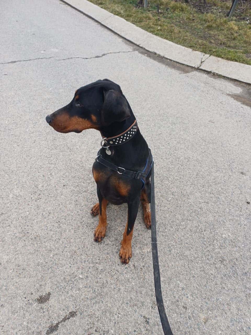 Walk 52